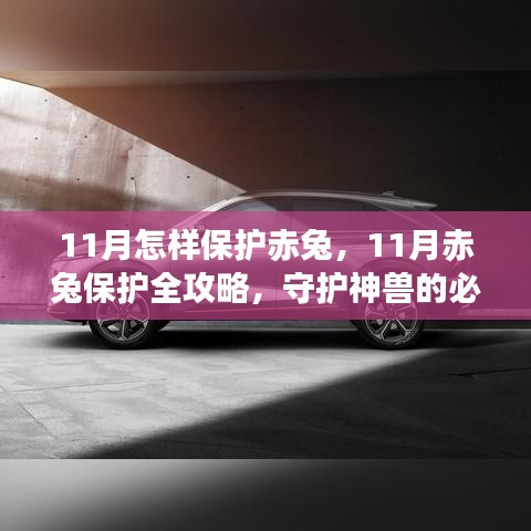 走马观花 第4页