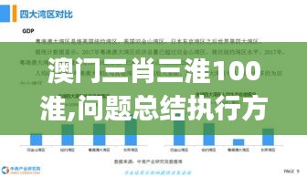 澳门三肖三淮100淮,问题总结执行方案_W31.632-6
