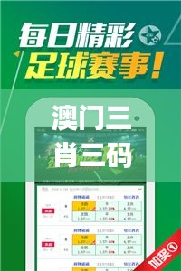 澳门三肖三码三期凤凰网,全面执行计划数据_旗舰版64.627-7