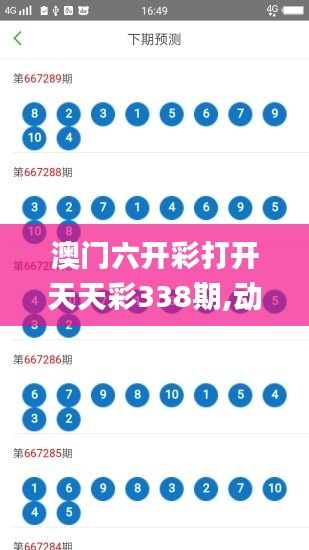 澳门六开彩打开天天彩338期,动态调整策略执行_X18.882-4