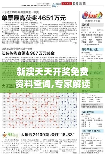 新澳天天开奖免费资料查询,专家解读说明_薄荷版55.288-1
