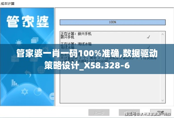 管家婆一肖一码100%准确,数据驱动策略设计_X58.328-6