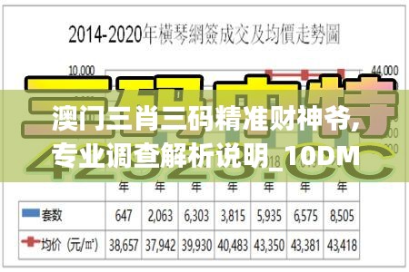 澳门三肖三码精准财神爷,专业调查解析说明_10DM73.821-7