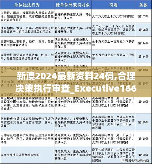新澳2024最新资料24码,合理决策执行审查_Executive166.591-1