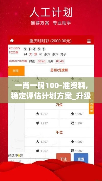 一肖一码100-准资料,稳定评估计划方案_升级版31.215-9