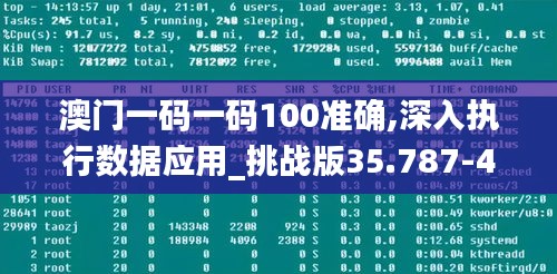 澳门一码一码100准确,深入执行数据应用_挑战版35.787-4