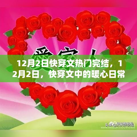 12月2日快穿文完结，暖心日常与友情缱绻回顾