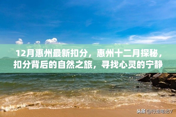惠州十二月交通扣分背后的自然之旅，探寻心灵宁静港湾