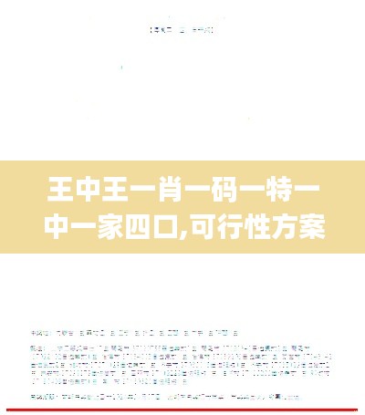 王中王一肖一码一特一中一家四口,可行性方案评估_WP125.618