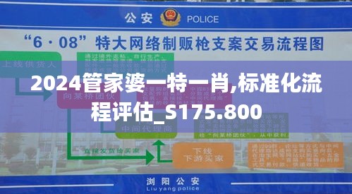 2024管家婆一特一肖,标准化流程评估_S175.800