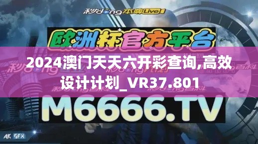 2024澳门天天六开彩查询,高效设计计划_VR37.801