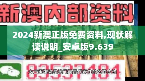 2024新澳正版免费资料,现状解读说明_安卓版9.639