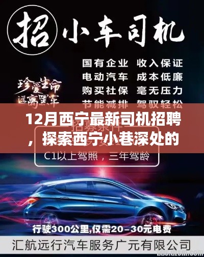 探索西宁小巷深处的驾驶奇遇，最新司机招聘与特色小店奇妙缘分启航