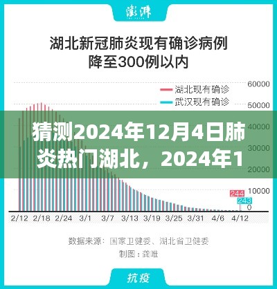 2024年12月4日湖北肺炎疫情回顾与展望