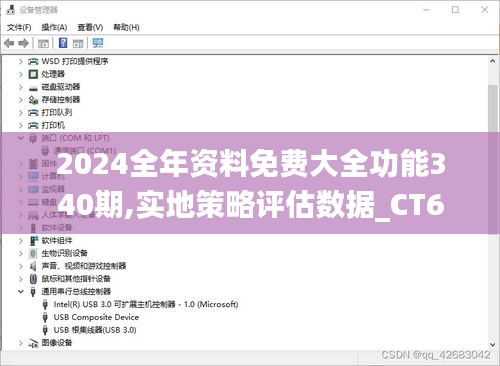 2024全年资料免费大全功能340期,实地策略评估数据_CT61.136-9