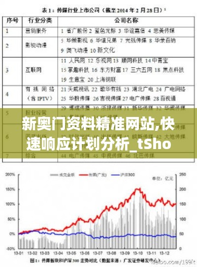 新奥门资料精准网站,快速响应计划分析_tShop4.102