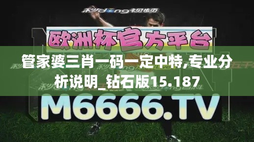 管家婆三肖一码一定中特,专业分析说明_钻石版15.187