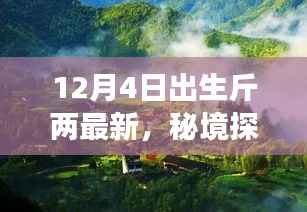 秘境探索与斤两体验之旅,小巷深处的独特风味——12月4日最新斤两揭秘
