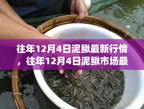 夫妻本是同林鸟 第5页