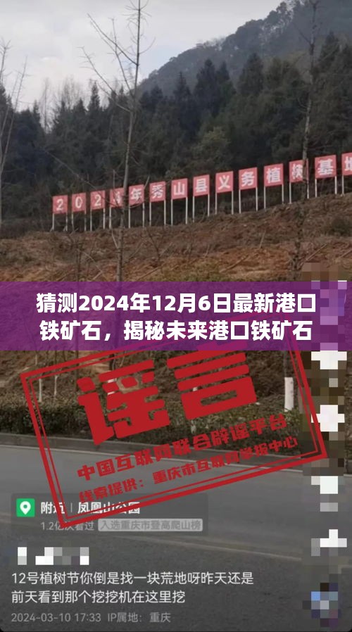 揭秘未来港口铁矿石走势，专业视角洞察铁矿石市场预测分析（针对2024年12月6日）