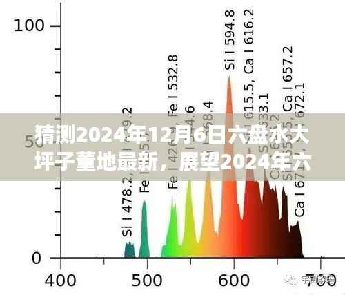 2024年六盘水大坪子董地展望,探寻新发展蓝图