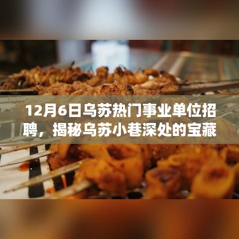 揭秘乌苏事业单位招聘背后的宝藏小店，探寻小巷深处的独特魅力
