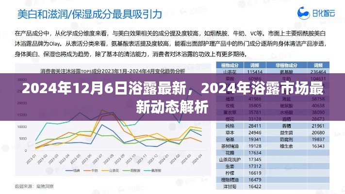 2024年浴露市场最新动态解析，市场趋势与产品更新