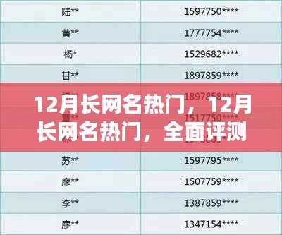 12月长网名的流行趋势，全面评测与介绍