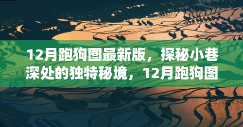 12月跑狗图最新版，探秘小巷深处的独特秘境，12月跑狗图最新版之下的特色小店
