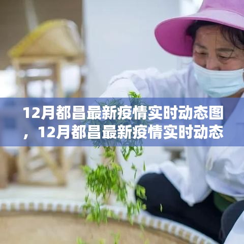 12月都昌最新疫情实时动态图详解，查看步骤与最新动态