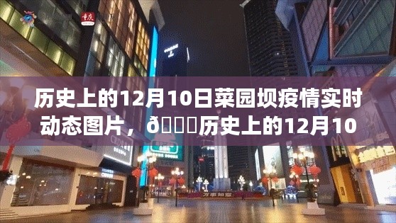 发奋图强 第4页