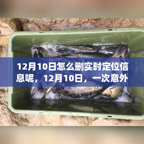 冰清玉洁 第3页
