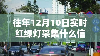 自作主张 第3页