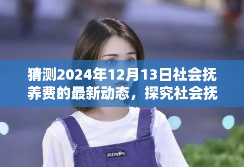 探究社会抚养费动态，预测与解析未来趋势至2024年12月13日的社会抚养费最新动态