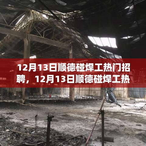 只争朝夕 第3页