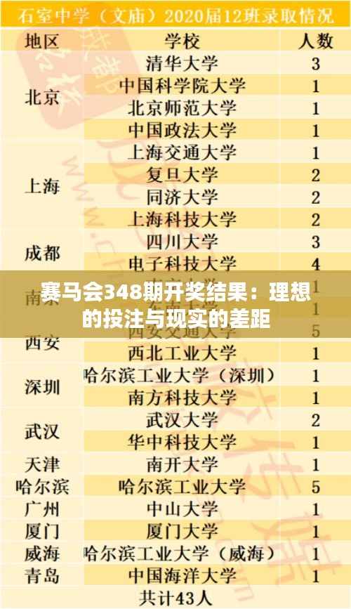 赛马会348期开奖结果：理想的投注与现实的差距