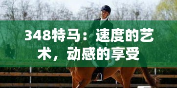 348特马：速度的艺术，动感的享受