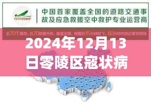 零陵区冠状病毒实时追踪报告（最新更新至2024年12月13日）