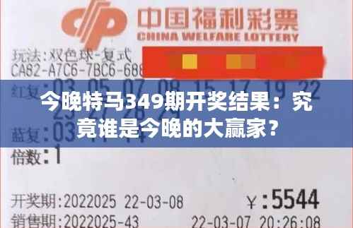 今晚特马349期开奖结果:究竟谁是今晚的大赢家?
