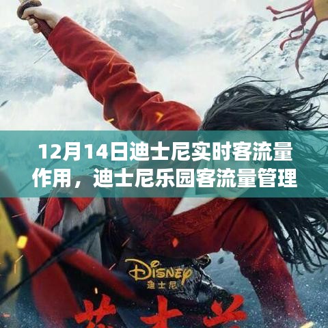 迪士尼乐园客流量管理指南，如何利用实时客流量信息优化体验（以12月14日为例）