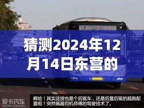 驾驭未来公交动态，预见东营公交查询方式创新与掌握实时动态