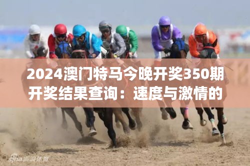 2024澳门特马今晚开奖350期开奖结果查询：速度与激情的金钱游戏