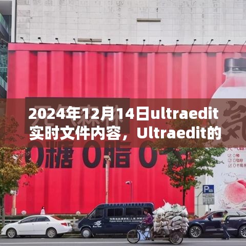 Ultraedit实时文件内容，乘风破浪的力量成就辉煌时刻