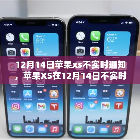 苹果XS 12月14日不实时通知问题解析与探讨