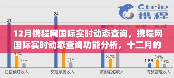 携程网国际实时动态查询功能深度解析，十二月的观察与观点分析