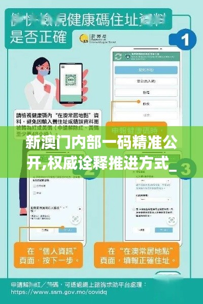 新澳门内部一码精准公开,权威诠释推进方式_开发版3.591
