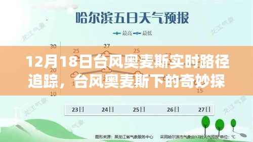 台风奥麦斯下的奇妙探险,与自然共舞,追寻心灵宁静与实时路径追踪