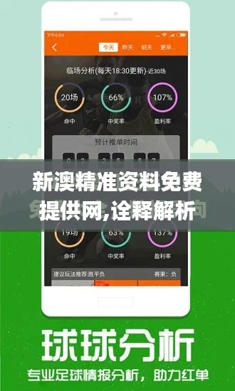 新澳精准资料免费提供网,诠释解析落实_复刻版13.154