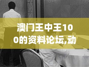 澳门王中王100的资料论坛,动态调整策略执行_经典版8.822