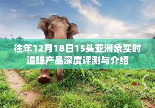 物以希为贵 第3页